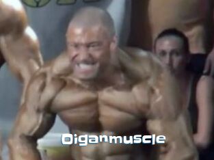 Oigan_muscle