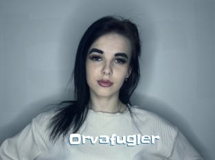 Orvafugler