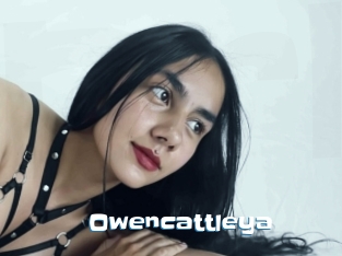 Owencattleya