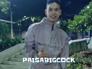 PAISABIGCOCK