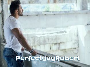 PerfectguyRobert