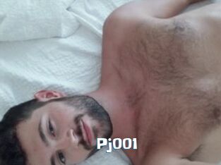 Pj001