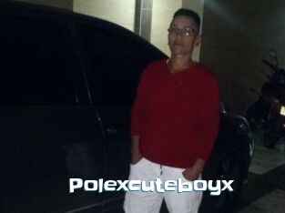 Polexcuteboyx