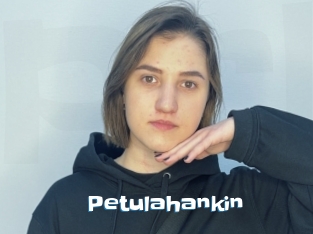 Petulahankin