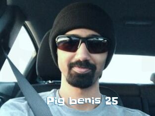 Pig_benis_25