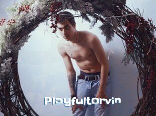 Playfultorvin