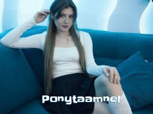 Ponytaamnel