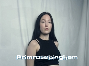 Primrosebingham