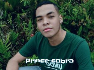 Prince_cobra