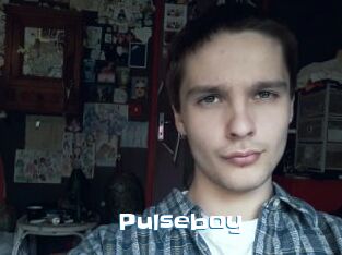 Pulseboy