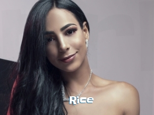 Rice