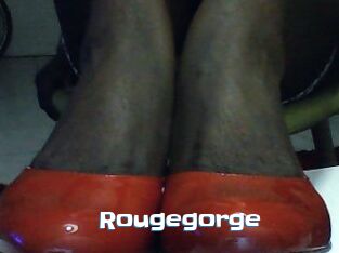 Rougegorge