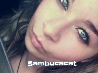 Sambucacat