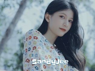 SandyJee