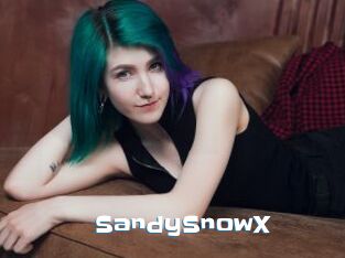 SandySnowX