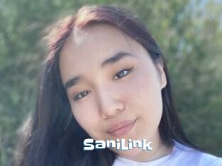 SaniLink