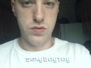SexyBoyToy