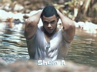 Shein_A