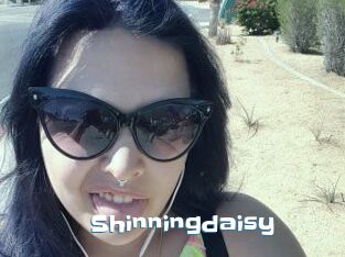 Shinningdaisy