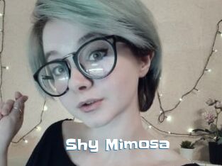Shy_Mimosa