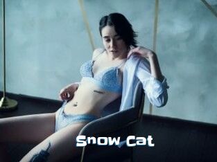 Snow_Cat