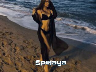 Spelaya