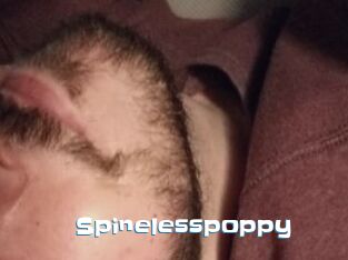 Spinelesspoppy