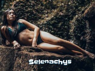 Selenachys