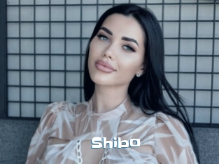Shibo