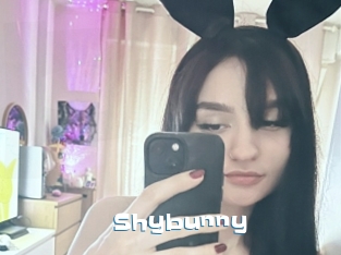 Shybunny