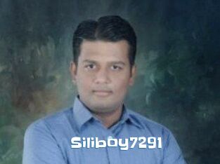 Siliboy7291