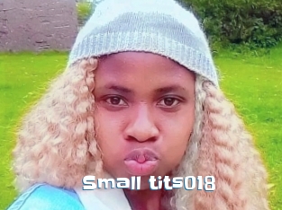 Small_tits018