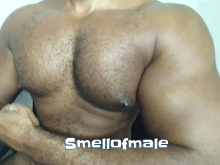 Smellofmale