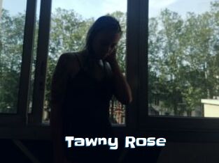Tawny_Rose