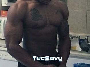 TecSavy