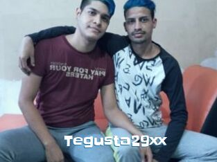Tegusta29xx