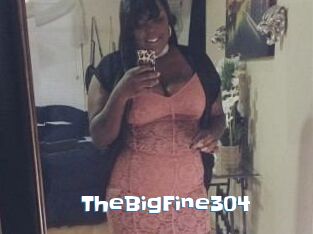 TheBigFine304