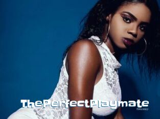 ThePerfectPlaymate