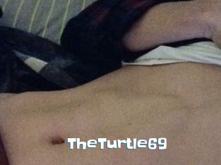 TheTurtle69