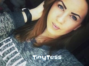 TinyTess