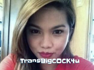 TransBigCOCK4u