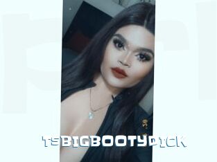 TsBIGBOOTYDICK