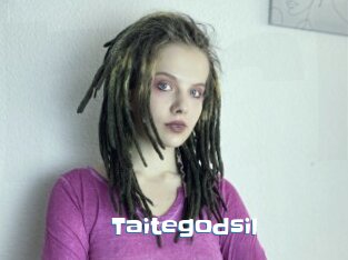 Taitegodsil