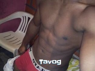 Tavog