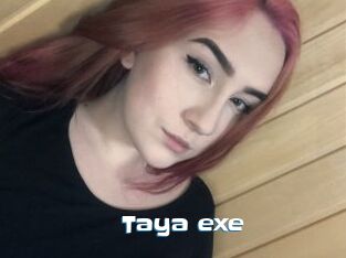 Taya_exe