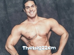 Thebig22cm