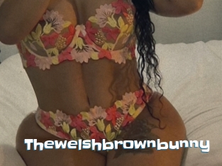 Thewelshbrownbunny