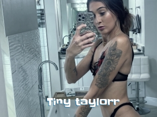 Tiny_taylorr