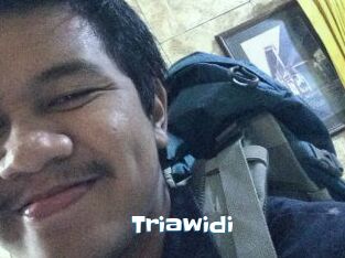 Triawidi