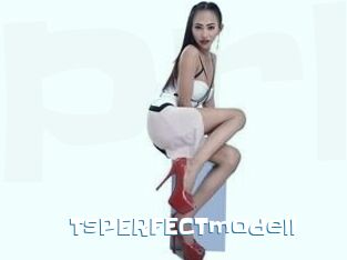 TsPERFECTmodell